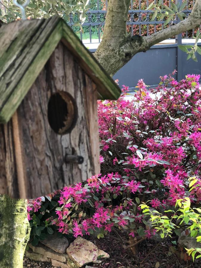 ヴィチェンツァ Residenza Aironeゲストハウス エクステリア 写真