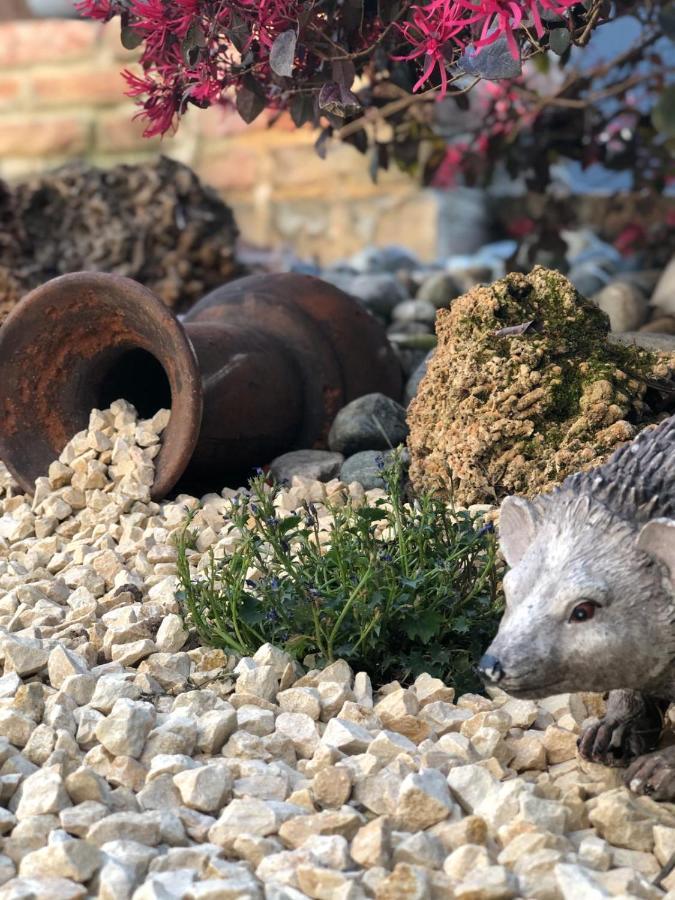 ヴィチェンツァ Residenza Aironeゲストハウス エクステリア 写真